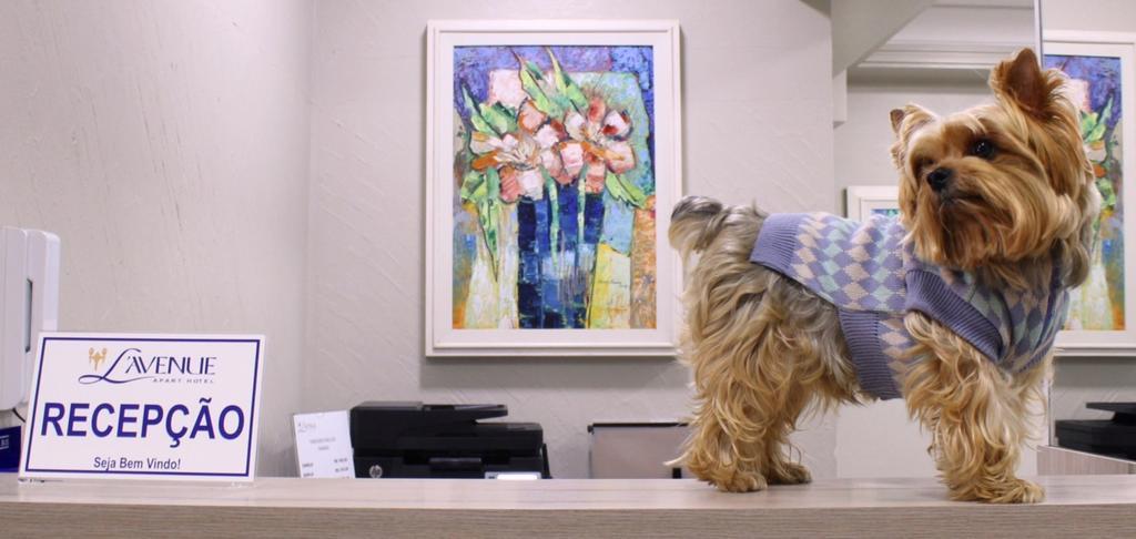Hotel Lavenue クリチバ エクステリア 写真